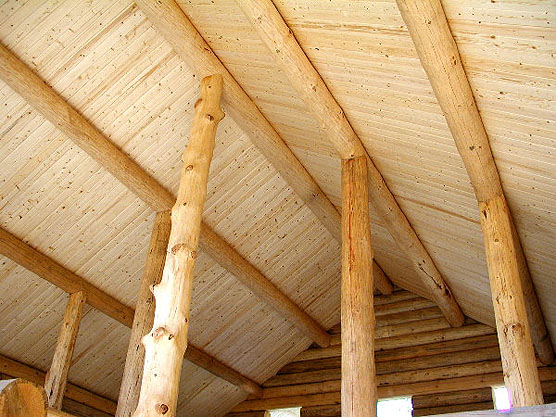 priest lake: ceiling